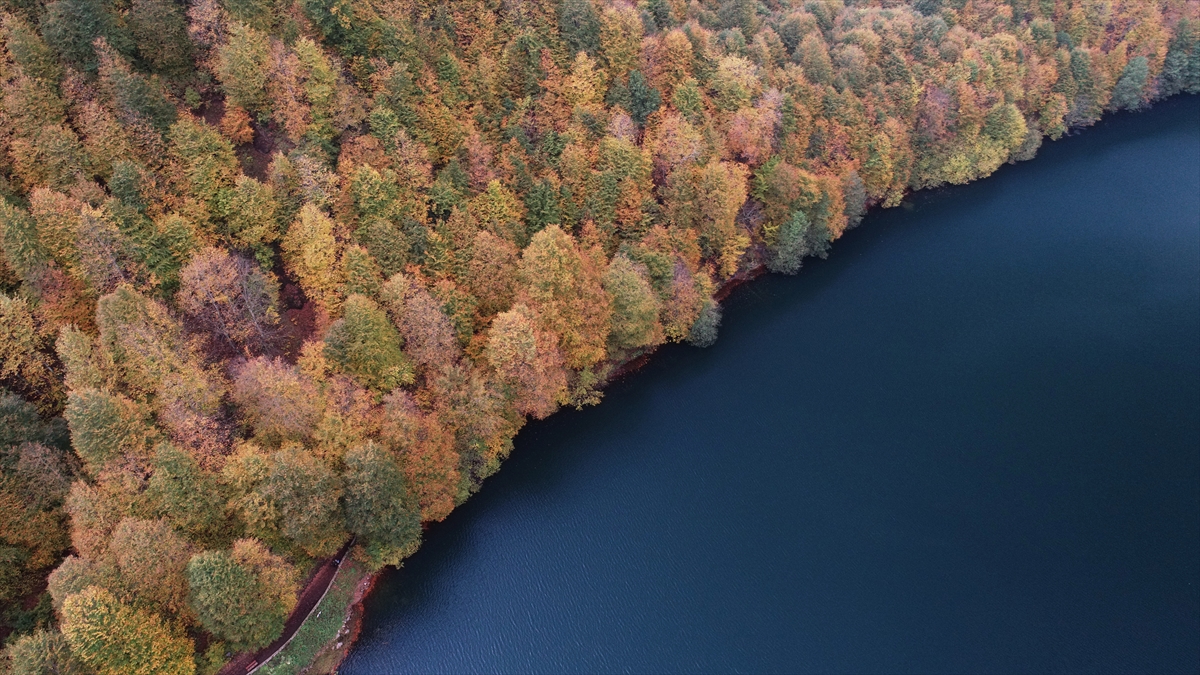 Bitki örtüsünün sarı, yeşil, kırmızı, turuncu ve kahverenginin tonlarıyla büyüleyici renkleriyle ilgi çeken tabiat parkı fotoğraf tutkunlarının da odağı oldu. 
