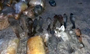 Rasulayn adım adım terörden temizleniyor