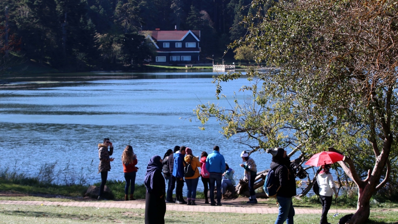 Bolu`nun doğal güzellikleriyle ünlü Gölcük Tabiat Parkı, sonbaharın sarı ve kahverengi tonlarıyla muhteşem manzaralar sunuyor. 