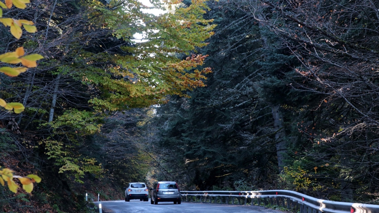 Günübirlik olarak tabiat parkını tercih edenler, bölgenin doğal güzelliği karşısında adeta büyüleniyor. 