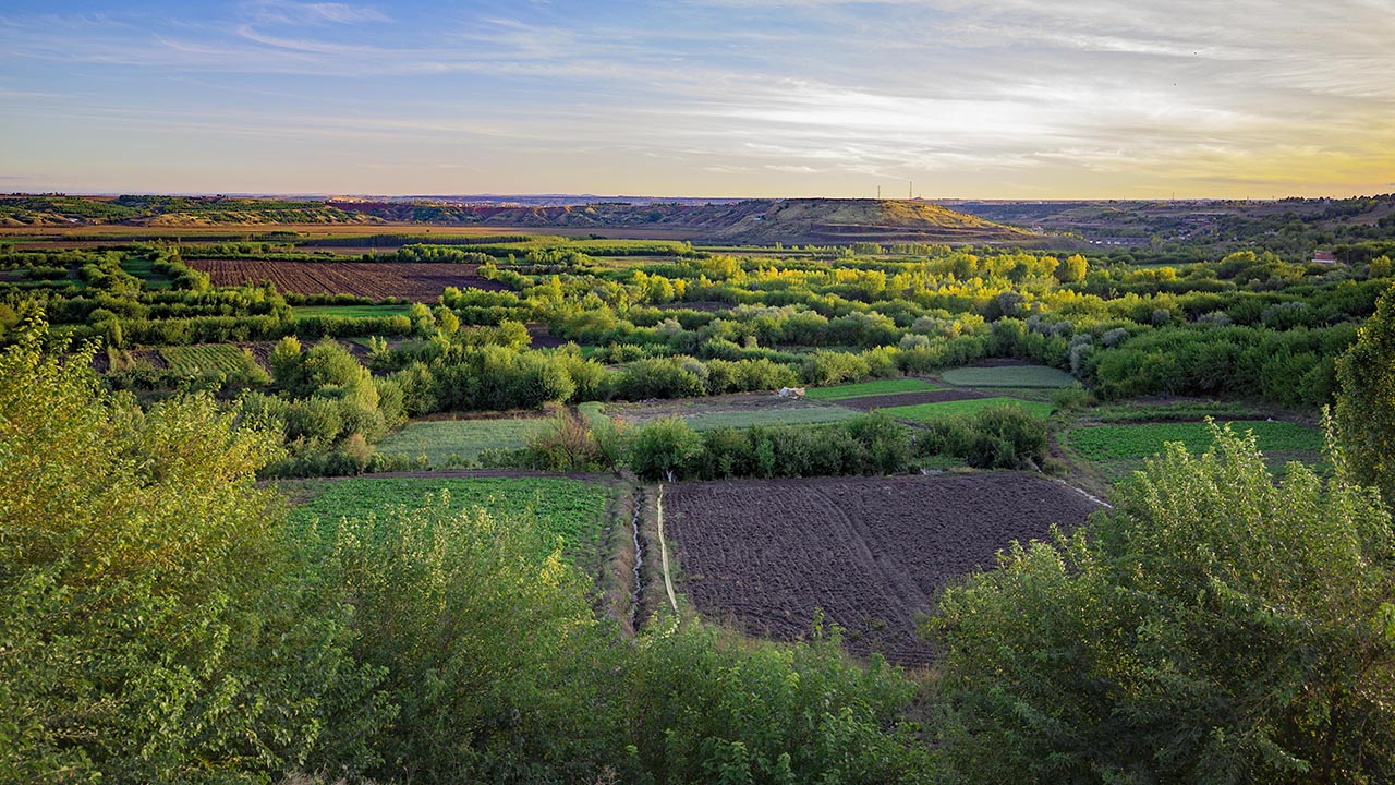 Surlar, İçkale, Ulu Cami, Keçi Burcu, St. George Kilisesi ve Hevsel Bahçeleri ile ön plana çıkan kadim kentte, sonbaharın gelişiyle renk cümbüşü yaşanıyor.