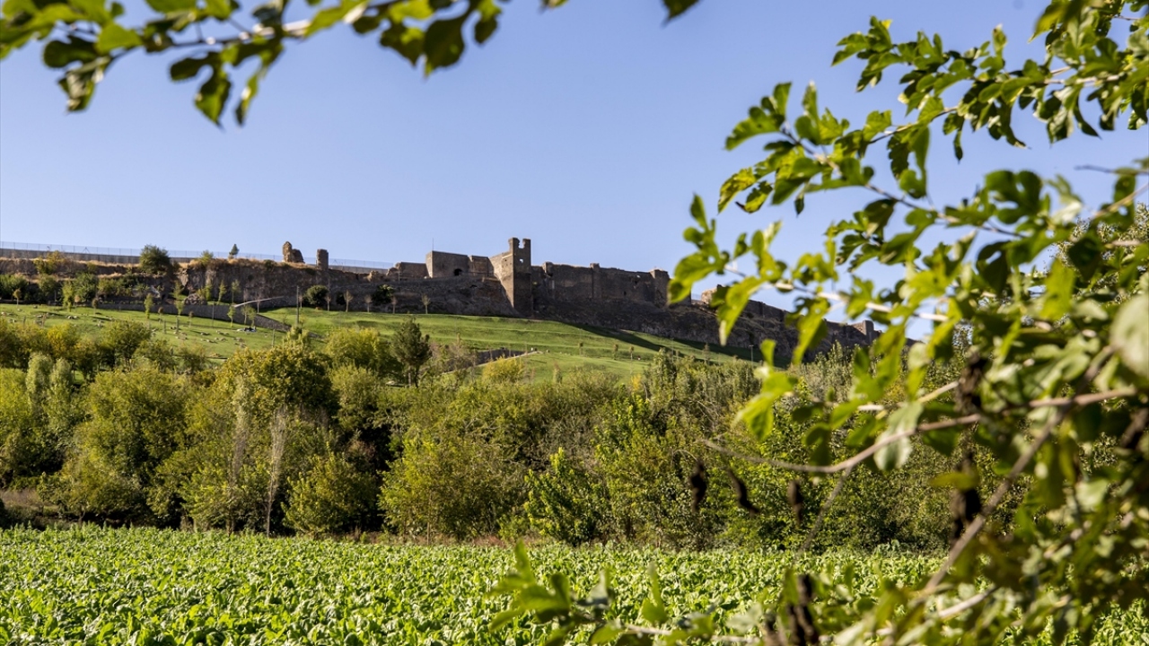 Dicle Nehri`nin bereketli havzasındaki Hevsel Bahçeleri, mevsim itibarıyla sarı, kahverengi ve yeşilin en canlı görüldüğü yerlerden biri haline dönüştü. 
