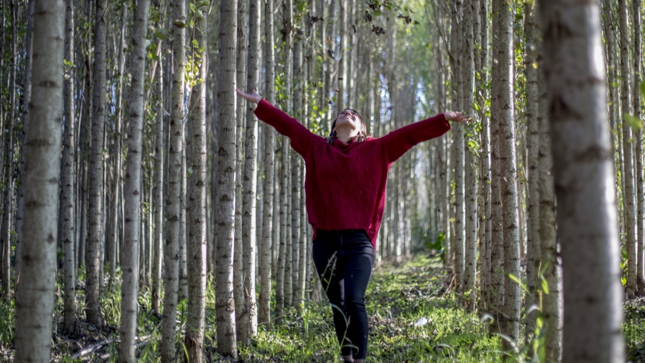 Fotono21 Derneği üyesi Sedat Hattısarı ise özellikle kavakların fotoğrafçılar için harika bir manzara oluşturduğunu belirterek, "Fotoğrafçıların burayı muhakkak değerlendirmesini istiyoruz." ifadesini kullandı.