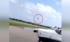 ABD’de gösteri uçağı düştü: 1 ölü