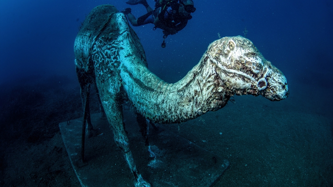 Müzeyi, açıldığı günden bugüne 50 bin kişi su altına dalış yaparak ziyaret eti.