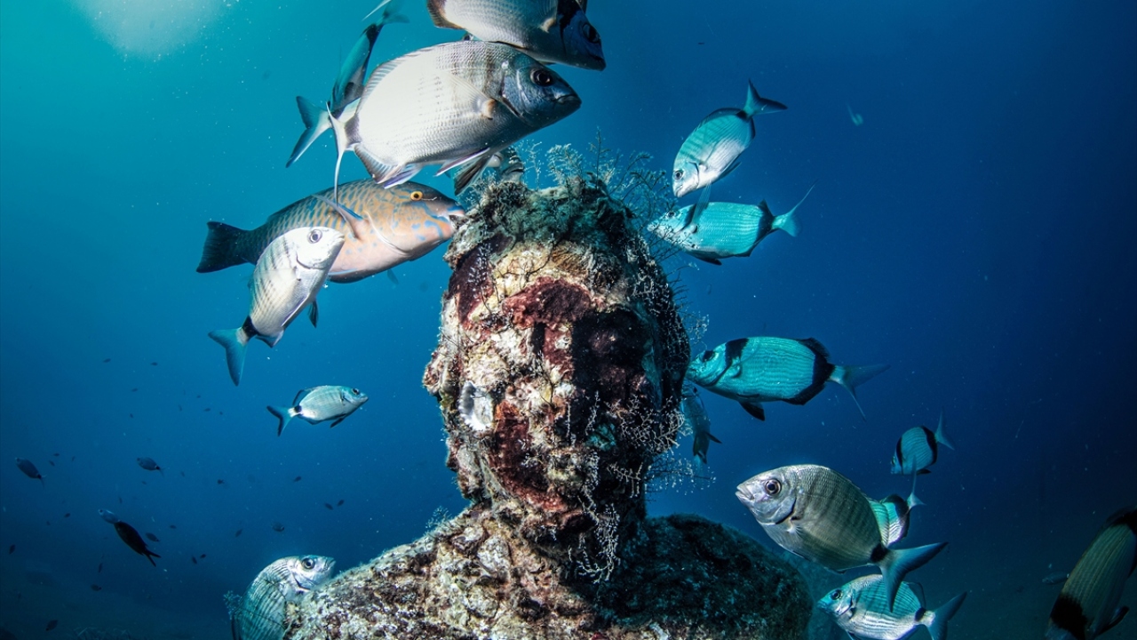 Müzenin dalış turizmine katkıları neler?