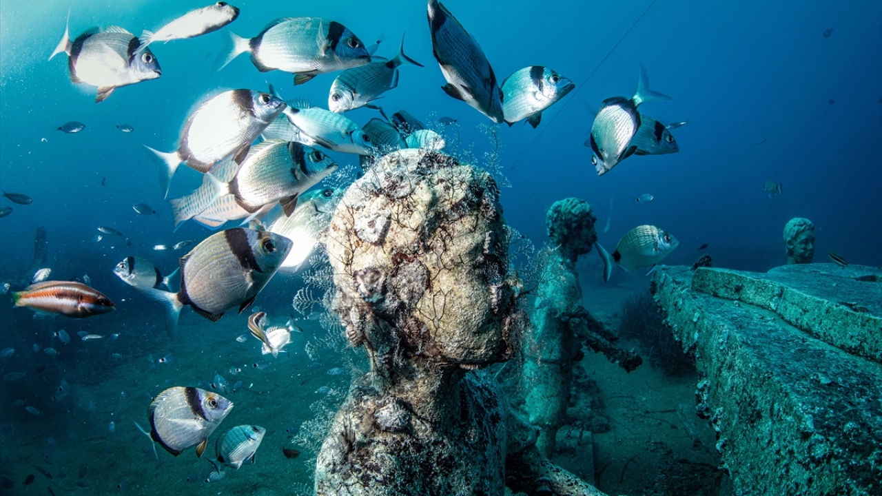 Dalıcıların en çok etkilendikleri heykeller hangileri?