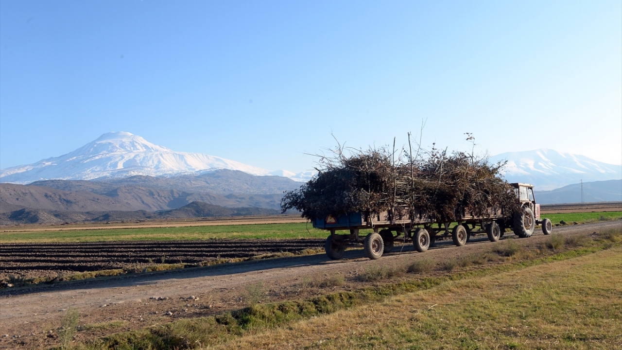 Halk arasında dağın gelinliğini giymesi olarak adlandırılan olay bölgede kışın geldiğinin habercisi olarak nitelendiriliyor ve yöre halkı Ağrı Dağı`na kar yağmasıyla kış hazırlıklarına başlıyor.