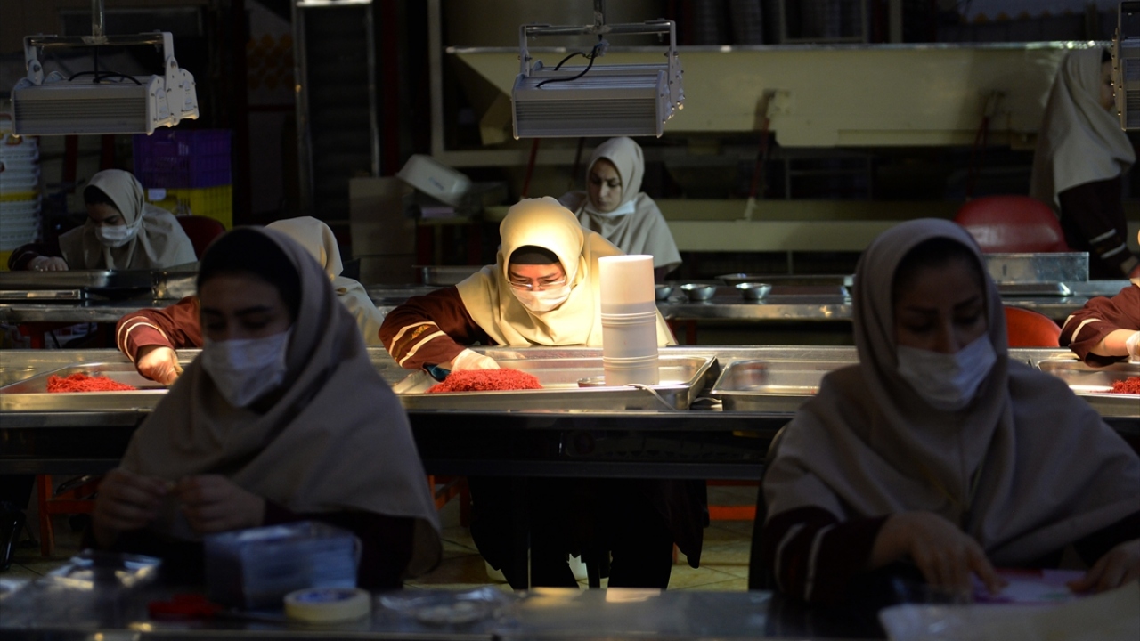 Mukaddem,"Eski zamanlarda Türkler, daha iyi savaşabilmek ve direnebilmek için askeriyede kahve tüketiyordu. Ahameniş askerleri de moral bulmak ve motive olmak için safran kullanıyordu." dedi.