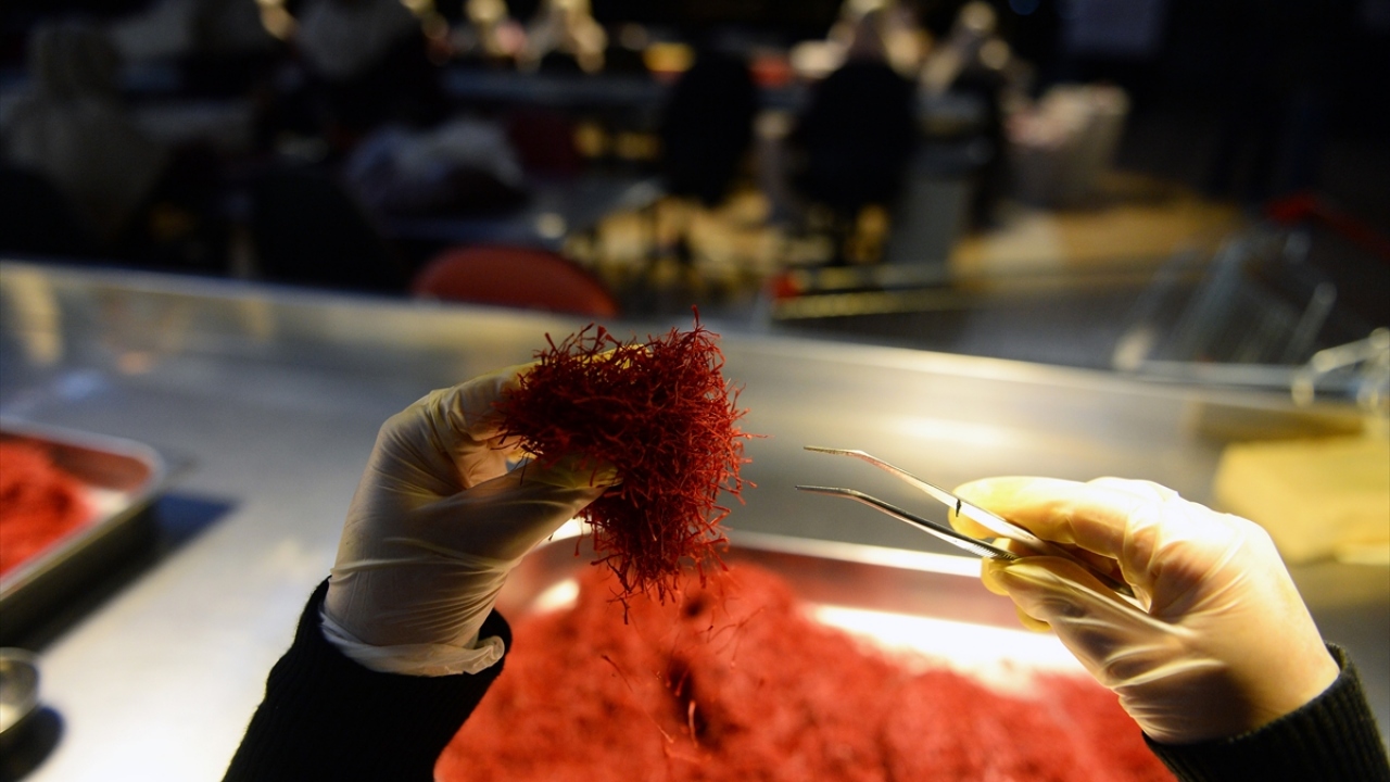 "İran safranı Türk sofralarında daha çok yer almalı"