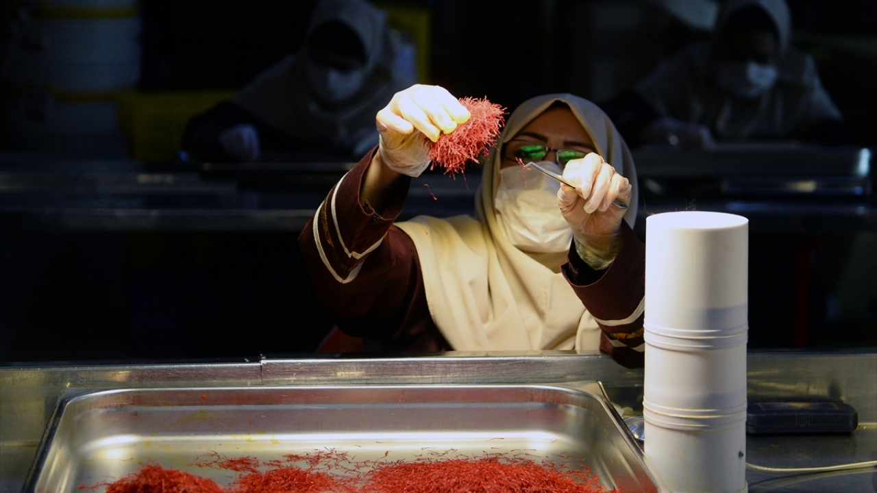 Yılda 500 ton üretiliyor ve 60 ülkeye ihraç ediliyor