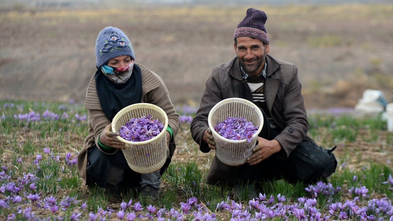 Ayrıca devlet yetkilileri, çiftçiler, işçiler, işletme sahipleri ve satıcılara da mikrofon uzattı. 