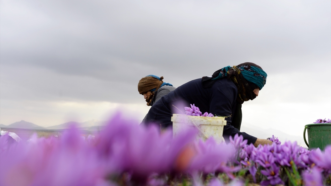 Nikumeneş, "Dünyada zor iş yoktur, tüm işler geçim için yapılıyor. Alnımızın teri ve el emeğimizle para kazandığımız için çok mutluyuz. İşimden memnunum." dedi.