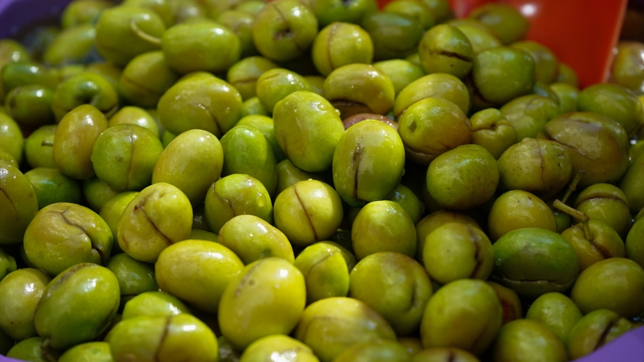 Edremit Ziraat Odası Yönetim Kurulu Başkanı Ali Yılmaz Diker de her yıl hasat sezonuna girildiğinde zeytinin ilk yağlanmasıyla kırmalık zeytinlerin evlere taşındığını anlattı.