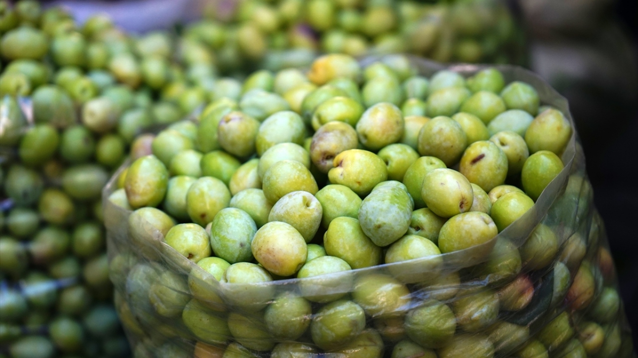 "Kırma zeytin sofraları süsleyen bir ürün haline geldi"
