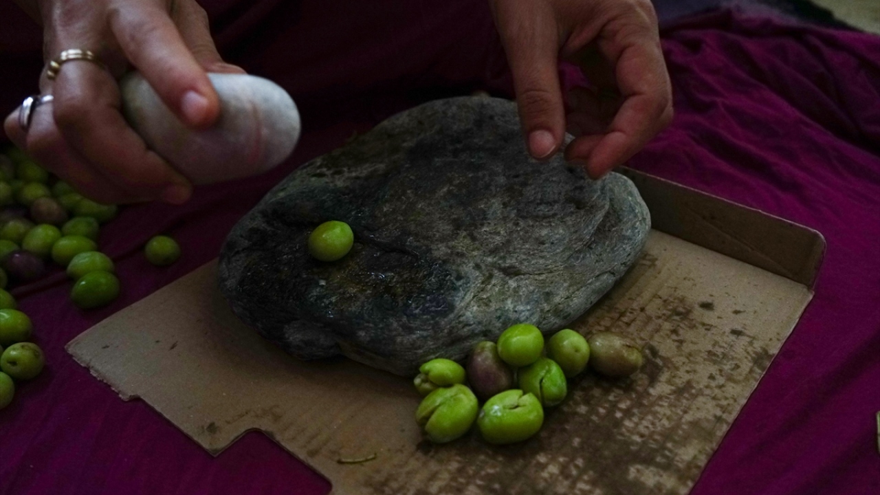 Özellikle Ege sofralarında sıkça tercih edilen kırma zeytin, dalından toplanan Ayvalık ve Edremit tipi yeşil zeytinlerin taş ya da tahtalarla kırılmasıyla elde ediliyor.