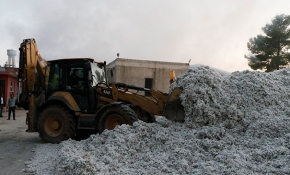 Şanlıurfa'da çırçır fabrikasında yangın: Tonlarca pamuk kül oldu