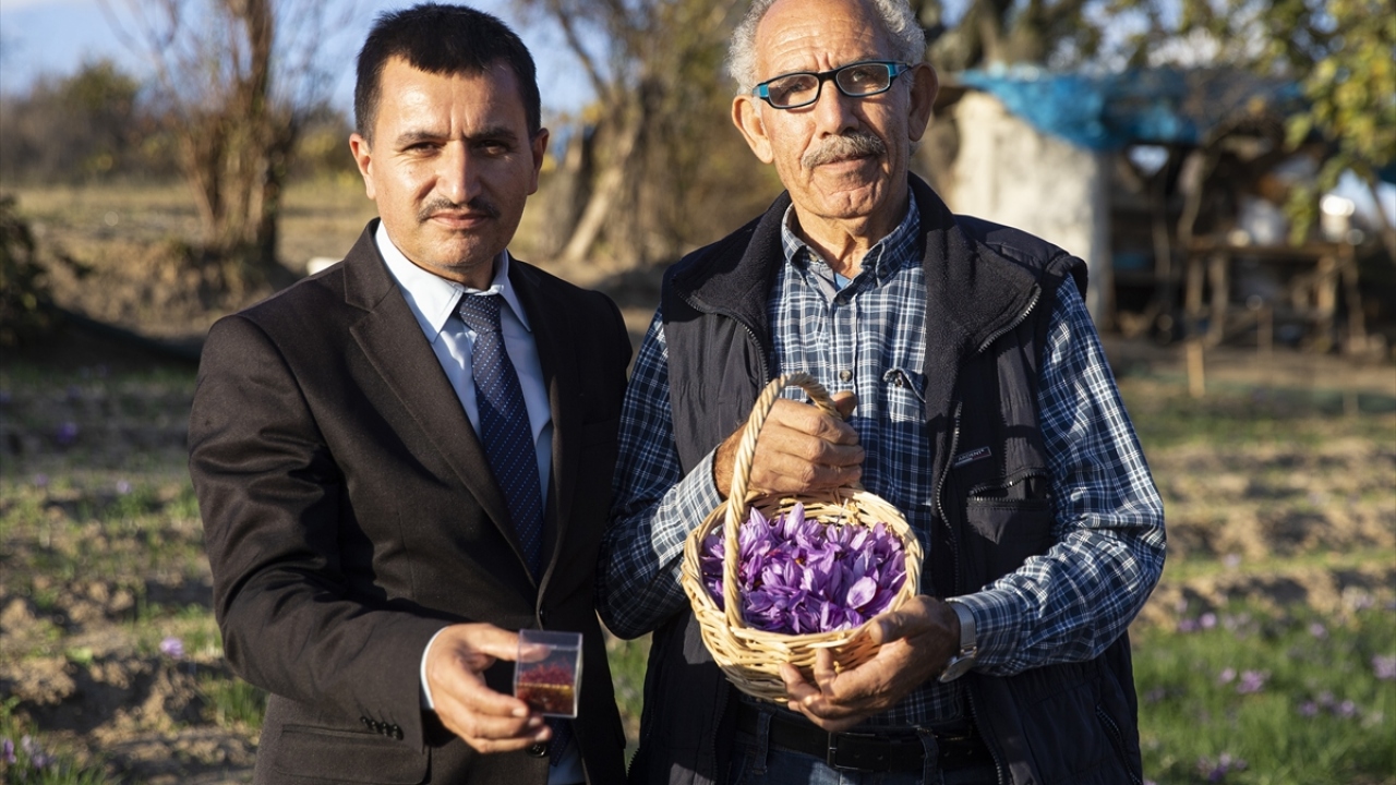 "Kimse tereddüt etmesin Edirne`de yetişiyor"