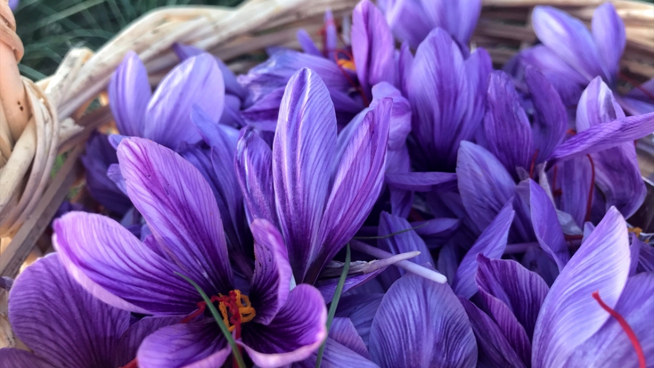 Taşıma suyla başardı