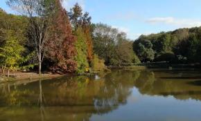 Sonbahar renklerine bürünen Atatürk Arboretumu