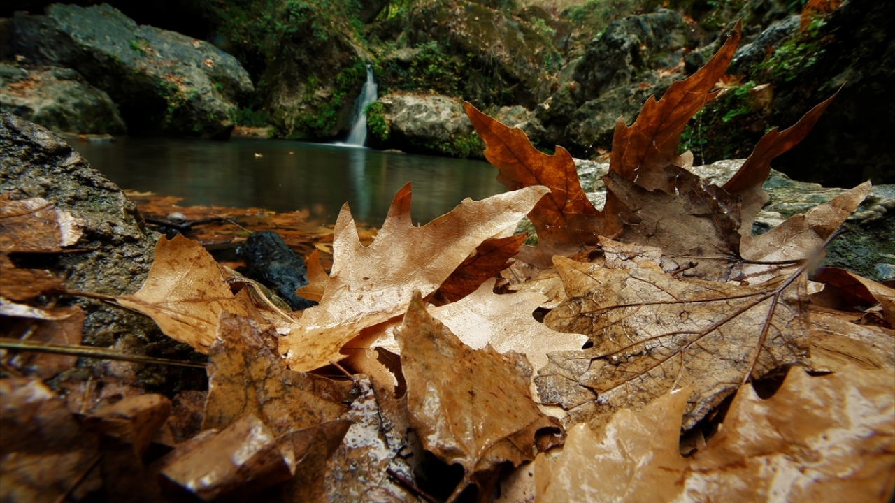 Bölge halkının da yoğun ilgi gösterdiği şelale, sonbaharda da  ziyaretçilerini ağırlıyor. Fotoğraf tutkunları için de doğal plato niteliği taşıyan şelale, sarı ve yeşilin tonlarından oluşan renk cümbüşüne dönüştü.
