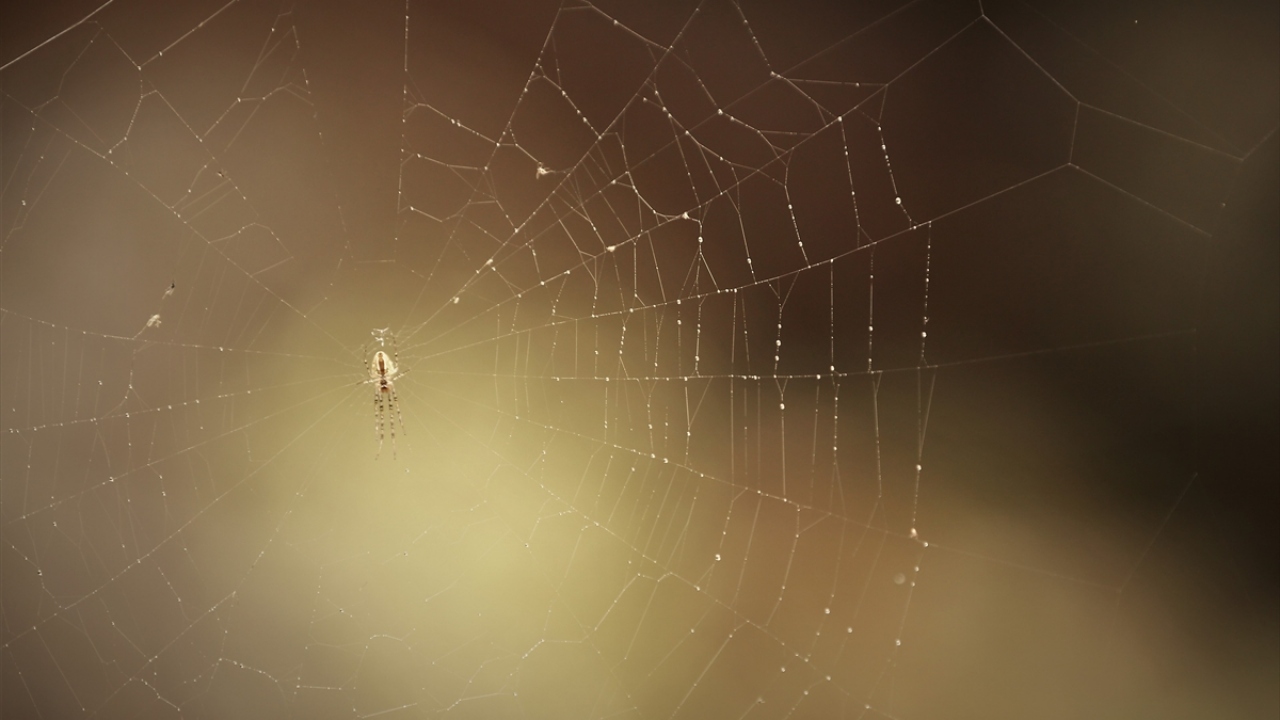 Ekşili Mahallesi Muhtarı İbrahim Aldemir, yaptığı açıklamada, şelalenin eşsiz bir güzelliğe sahip olduğunu, özellikle sonbaharda rengarenk güzel görüntü oluşturduğunu söyledi.