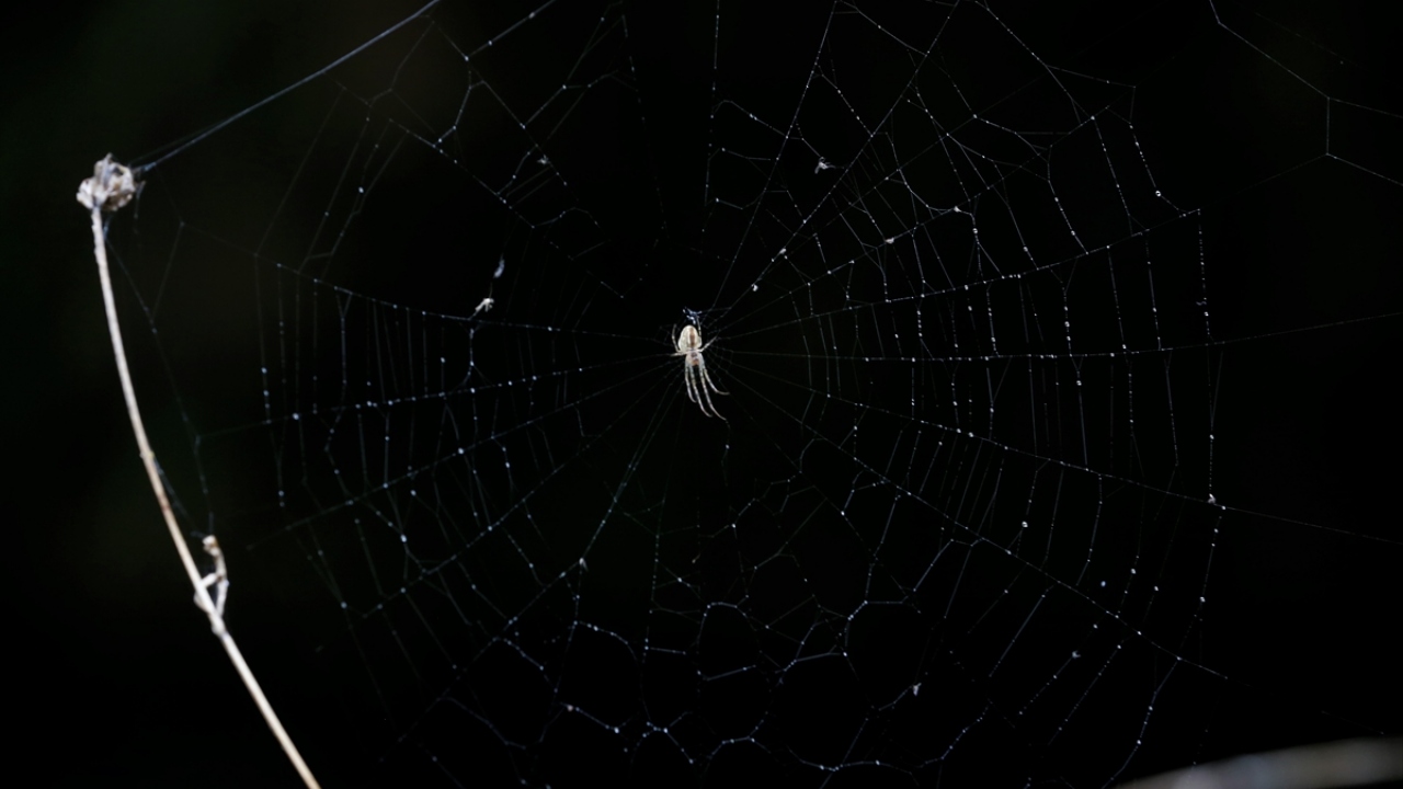 Yoğun ziyaretçi geldiğini ifade eden Aldemir, "Ulaşım ve temizlik konusunda biraz sıkıntı var. Bölgeye yürüyüş yolu yapılması için Kültür ve Turizm Bakanlığına yazı yazdık. Doğa harikası bir yer." dedi.