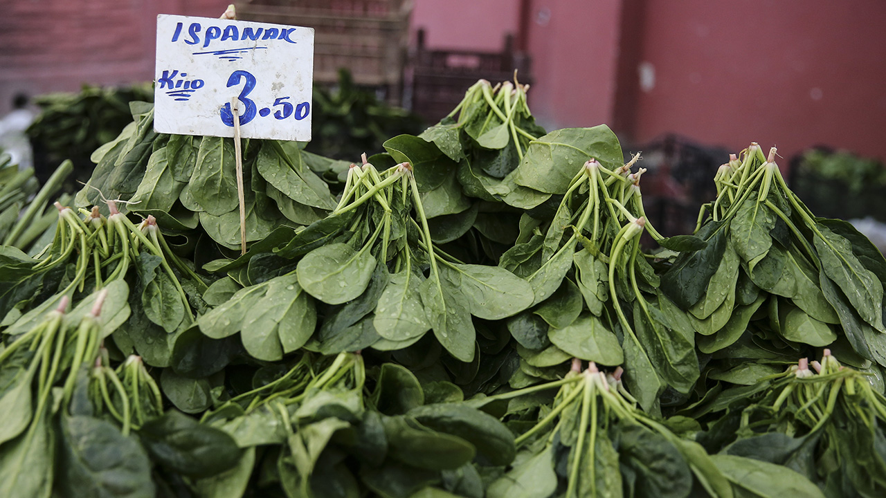 Son günlerde İstanbul`un çeşitli ilçelerinde, ıspanak yedikten sonra ağız kuruluğu, bulantı, kusma, görme bulanıklığı gibi şikayetler yaşayan 149 vatandaş, hastanelere müracaat etti. 