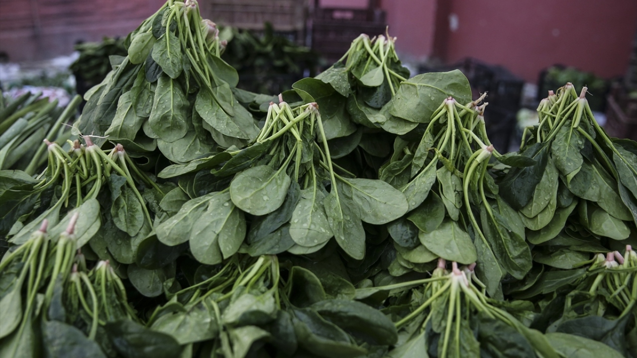 Vatandaşları bilinmeyen otun tüketilmemesi noktasında da uyaran uzmanlar, gıda güvenliği noktasında bilinçli tüketimin önemine işaret ediyor.