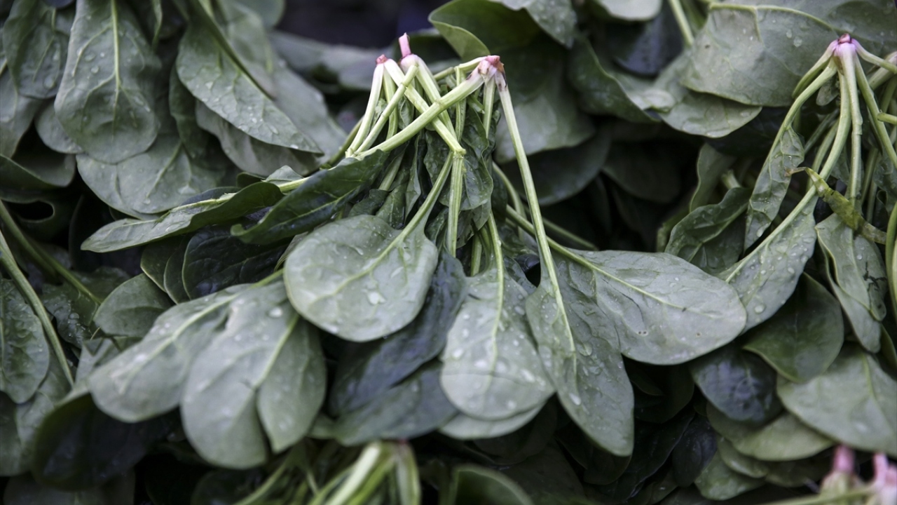 "Yıkamaya rağmen kabuğunu soymakta fayda var"