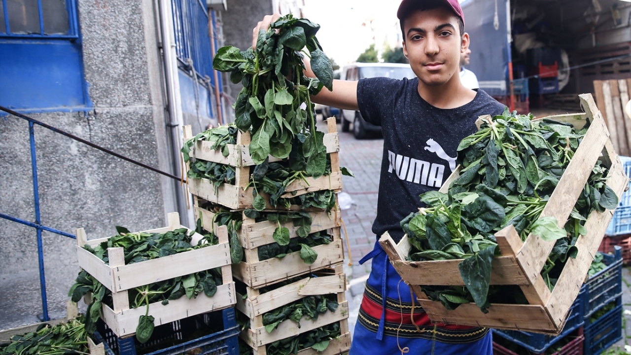 "İnsanlar süt içip de zehirlenebiliyor"