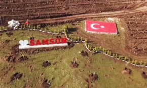 81 ilde 11 milyon fidan dikilecek