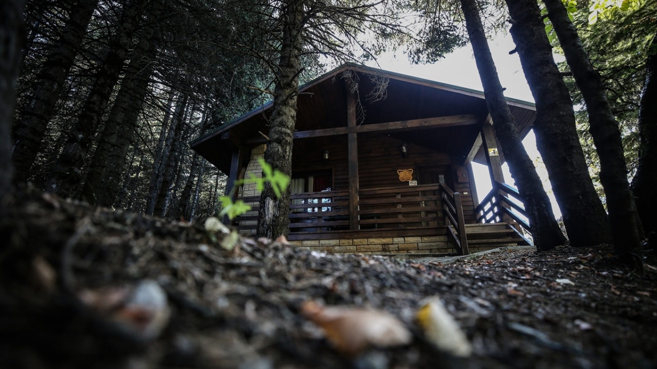 Bu bölgede bulunan ve etrafı çam ağaçlarıyla örtülü, görselliğiyle insanları cezbeden orman köşklerinde, kışın yer bulmak neredeyse imkansız hale geliyor.