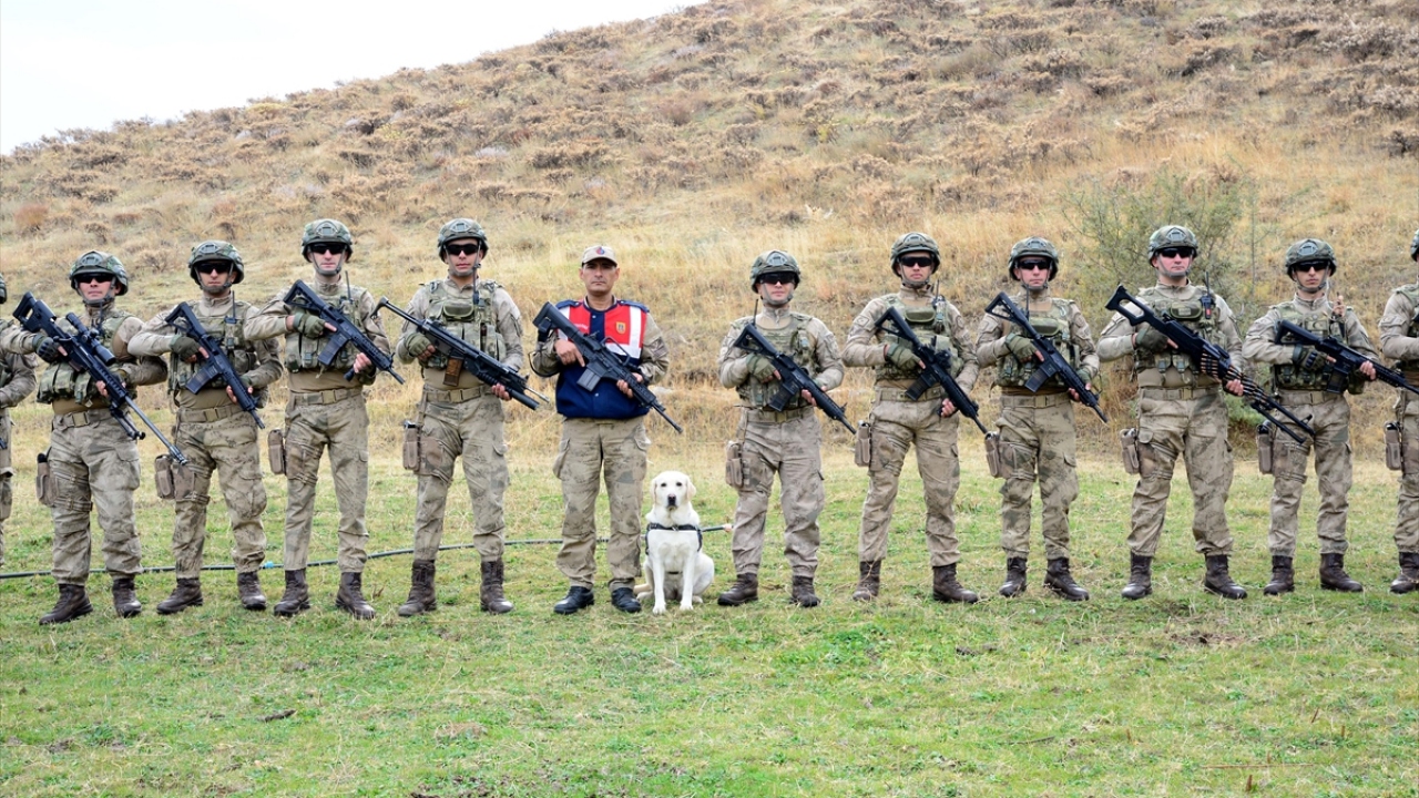 Üstün koku alma yetenekleriyle araçların en gizli yerindeki uyuşturucuyu bulan dedektör köpekler, arama kurtarma faaliyetlerinin de vazgeçilmez unsurları arasında yer alıyor.