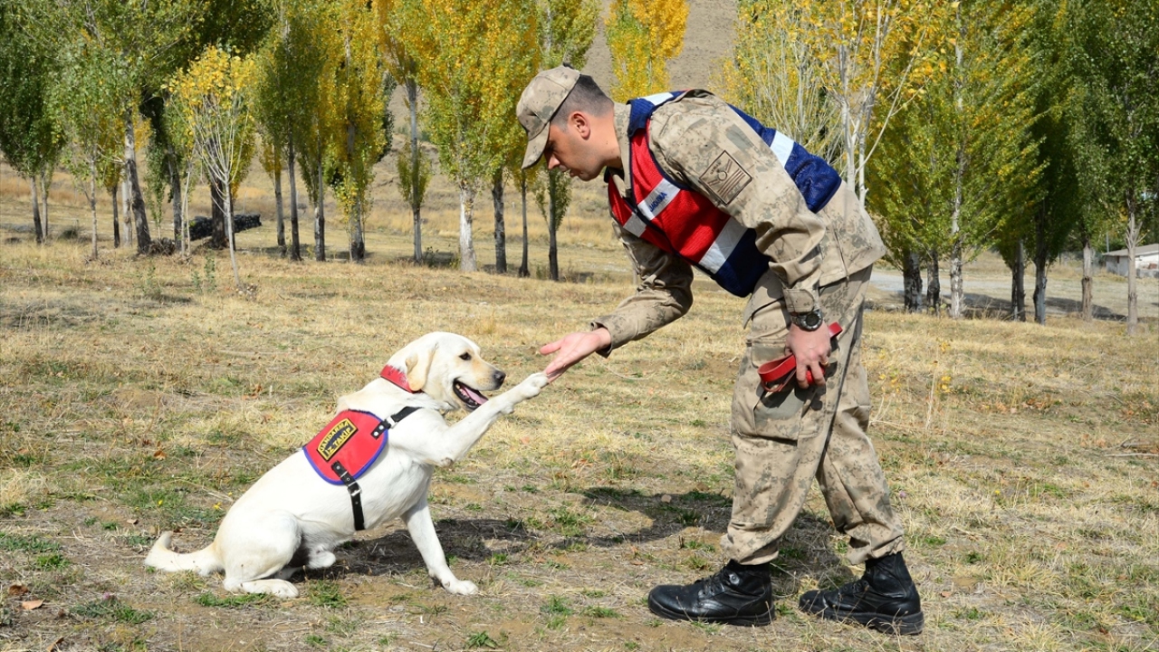 Taşkın, 3 yıldır görev yapan köpeğin, şu ana kadar kaybolan 6 kişinin bulunmasını sağladığını anlattı.