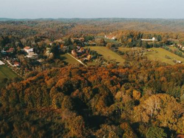 Sonbahar renklerine bürünen İstanbul ormanları