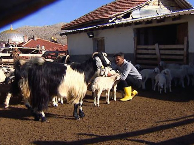 Genç çoban devlet desteği ile kendi işini kurdu