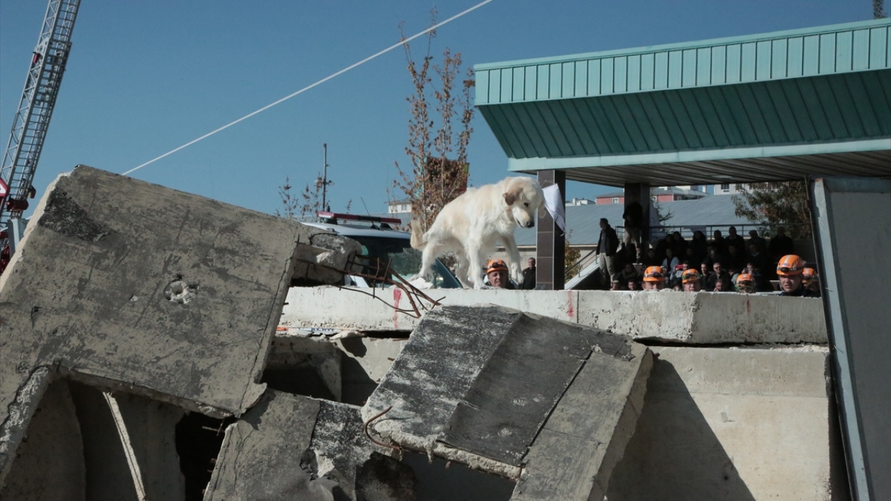 Senaryo gereği, merkez üssü Tuşba ilçesinin Çomaklı Mahallesi olan 7,0 büyüklüğündeki depremde hasar gören binalarda yaralıların olduğu ihbarı üzerine ekipler harekete geçti. 