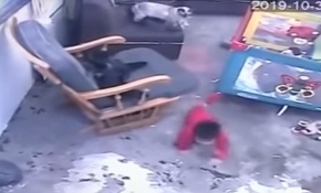 Kahraman kedi merdivenlerden düşmek üzere olan bebeği kurtardı