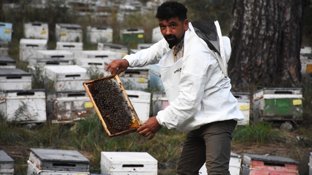 Şahin, Türkiye`nin yıllık 110 bin ton civarında üretimiyle dünyanın ikinci büyük bal üreticisi olduğunu söyledi. 