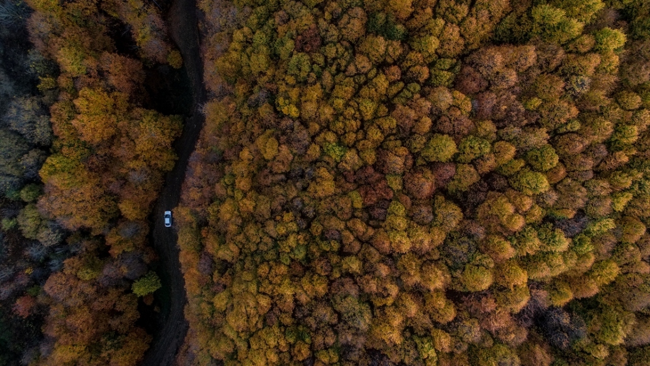 Uludağ`ın eteklerinde yeşilden sarı, kahverengi ve kırmızının farklı tonlarına dönen ağaç yapraklarının oluşturduğu renk cümbüşü, kara yolunu kullanan ziyaretçiler için de keyifli bir güzergah sunuyor.