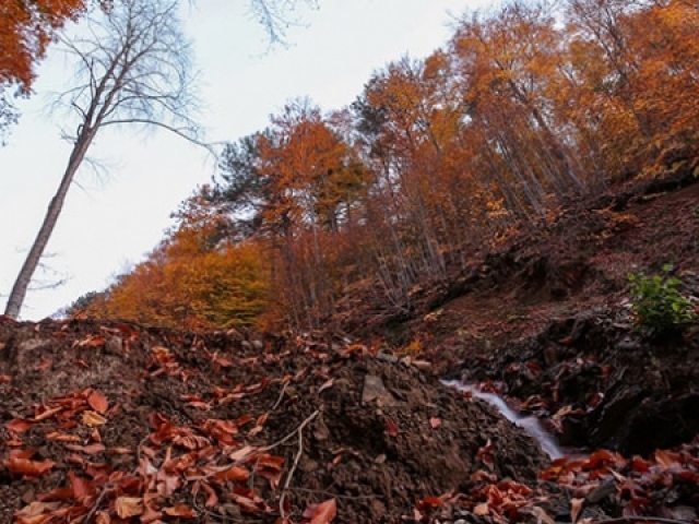 Kışın gözdesi Uludağ sonbaharda da eşsiz manzaraya sahip