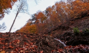 Kışın gözdesi Uludağ sonbaharda da eşsiz manzaraya sahip
