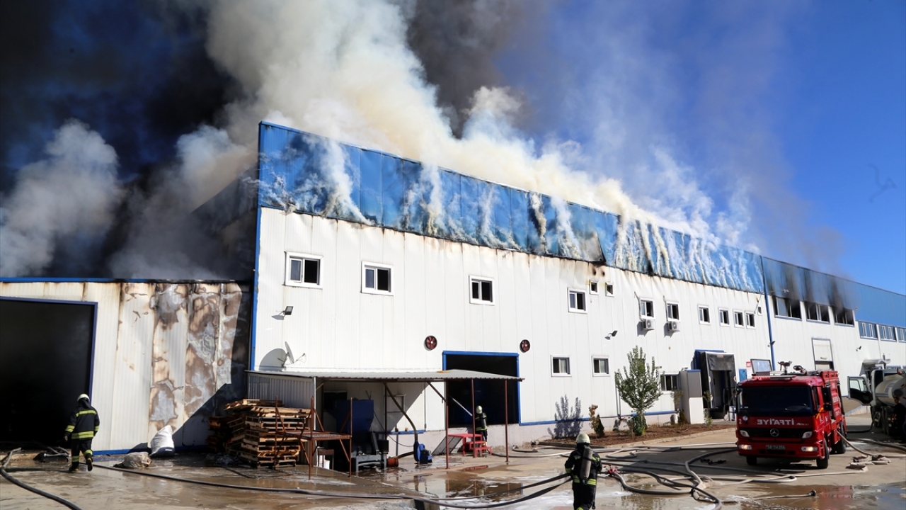 Işık, yangının çıkış nedeninin henüz belirlenemediğini belirtti.
