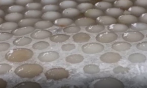 Finlandiya'da plajı buzdan yumurtalar kapladı