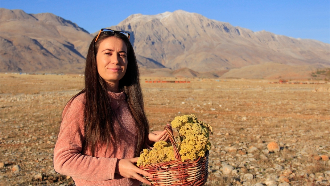 Günün büyük bir bölümünü atölyesinde sabun üretimi için çalışarak geçiren Kılınç, Munzur Dağlarından topladığı kantaron, sarımsak, papatya, kekik ve ölmez çiçeğiyle sızma natürel zeytinyağını harmanlayıp 8 çeşit sabun üretiyor.
