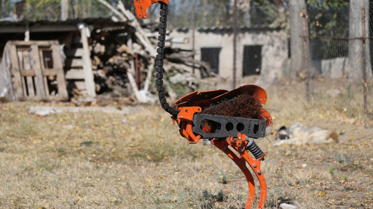 İstanbul`un gürültü ve karmaşasından kaçıp doğa kamplarına katılan Murat Tarakcı, bir sabah gün doğumunu izledikten sonra işinden istifa edip dünya turuna çıkmaya karar verdi.