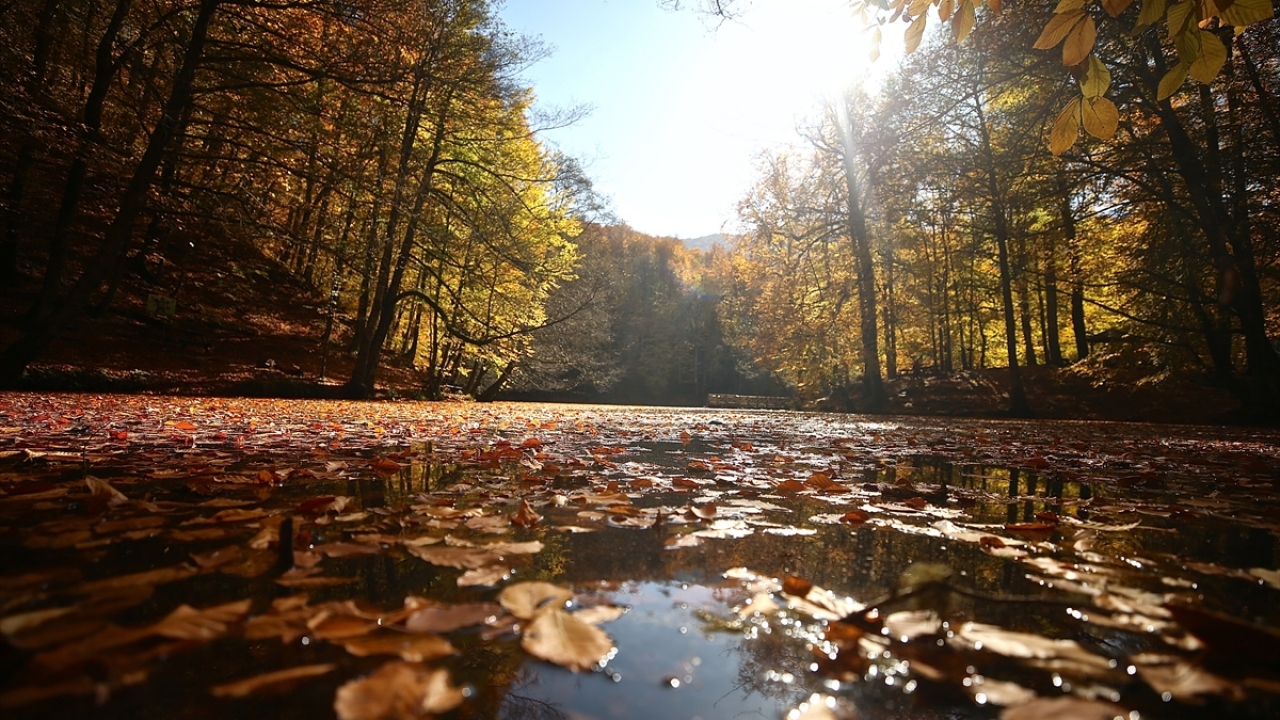Bolu ve Düzce`de bulunan milli parklar ve yaylalar, sonbahar mevsiminin tüm renklerini barındırıyor.