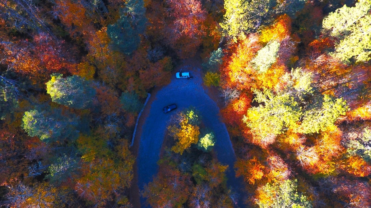 Yeşil, sarı ve kahverenginin bütün tonlarının harmanlandığı Yedigöller Milli Parkı, sonbaharın son günlerinde bu renk cümbüşüyle fotoğraf tutkunlarını adeta büyülüyor.