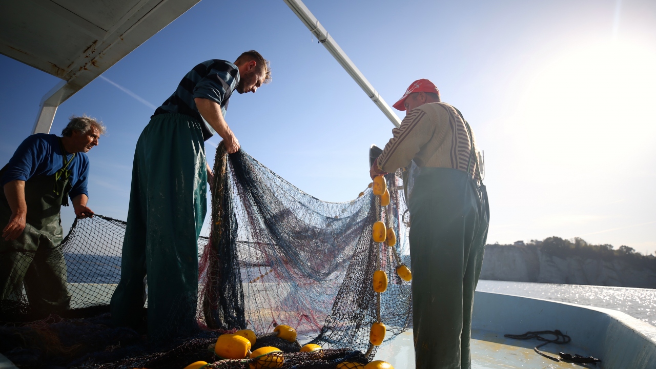 Karakaş, büyük teknelerle avlanan hamsinin beklentilerin üzerinde olduğunu vurgulayarak şöyle devam etti: